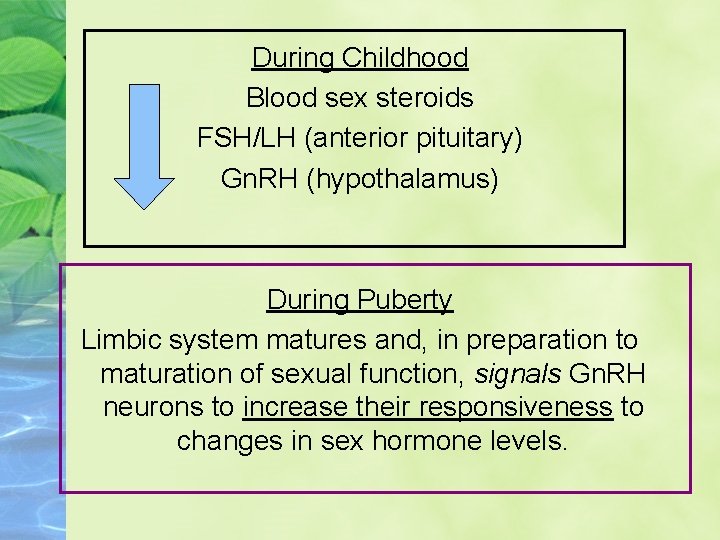 During Childhood Blood sex steroids FSH/LH (anterior pituitary) Gn. RH (hypothalamus) During Puberty Limbic