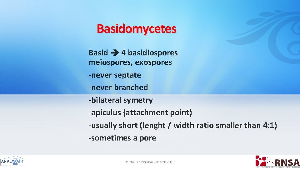 Basidomycetes Basid 4 basidiospores meiospores, exospores -never septate -never branched -bilateral symetry -apiculus (attachment