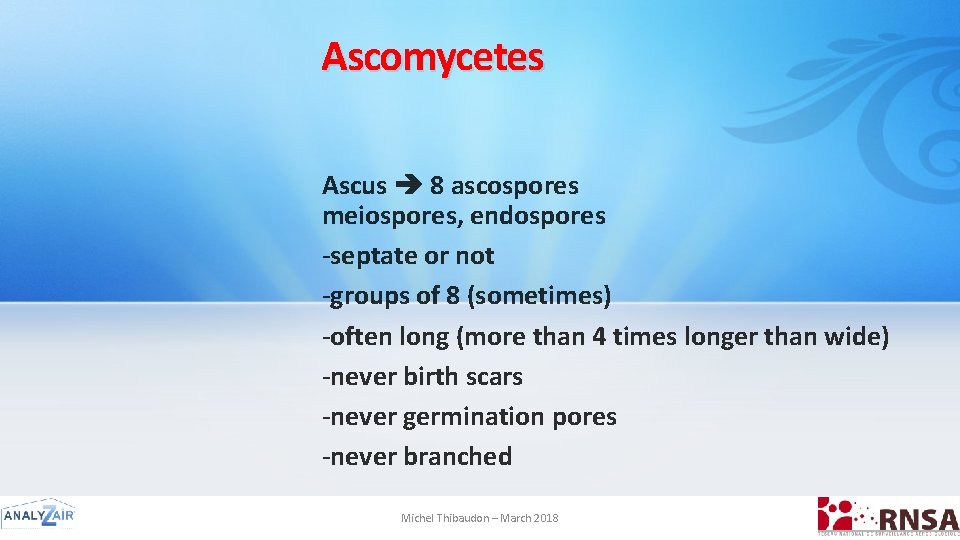 Ascomycetes Ascus 8 ascospores meiospores, endospores -septate or not -groups of 8 (sometimes) -often