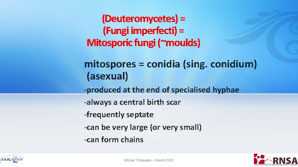 (Deuteromycetes) = (Fungi imperfecti) = Mitosporic fungi (~moulds) mitospores = conidia (sing. conidium) (asexual)