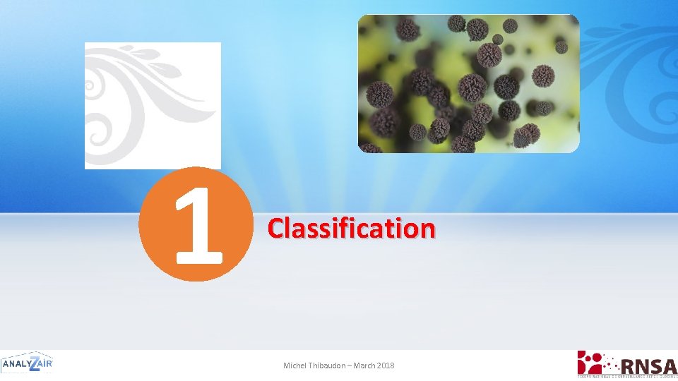 1 Classification Michel Thibaudon – March 2018 