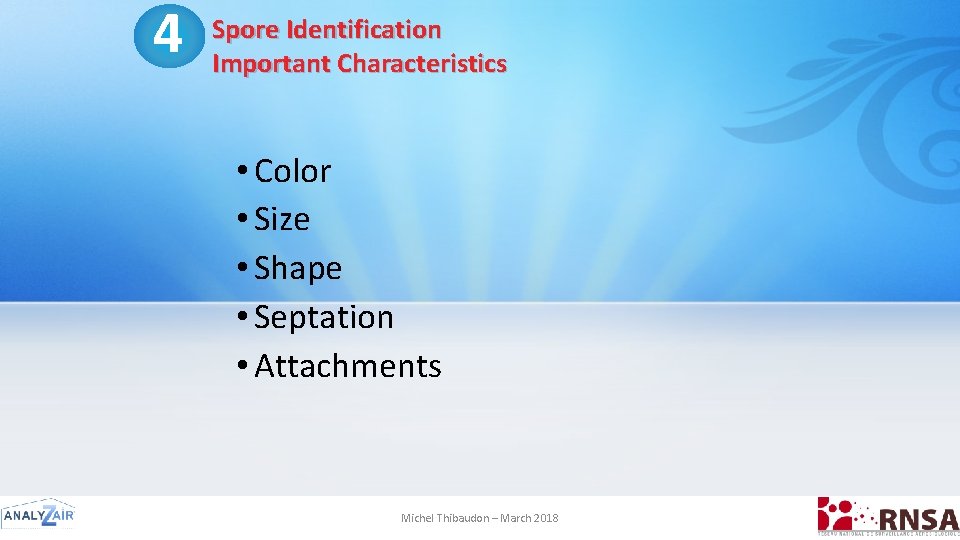 4 Spore Identification Important Characteristics • Color • Size • Shape • Septation •