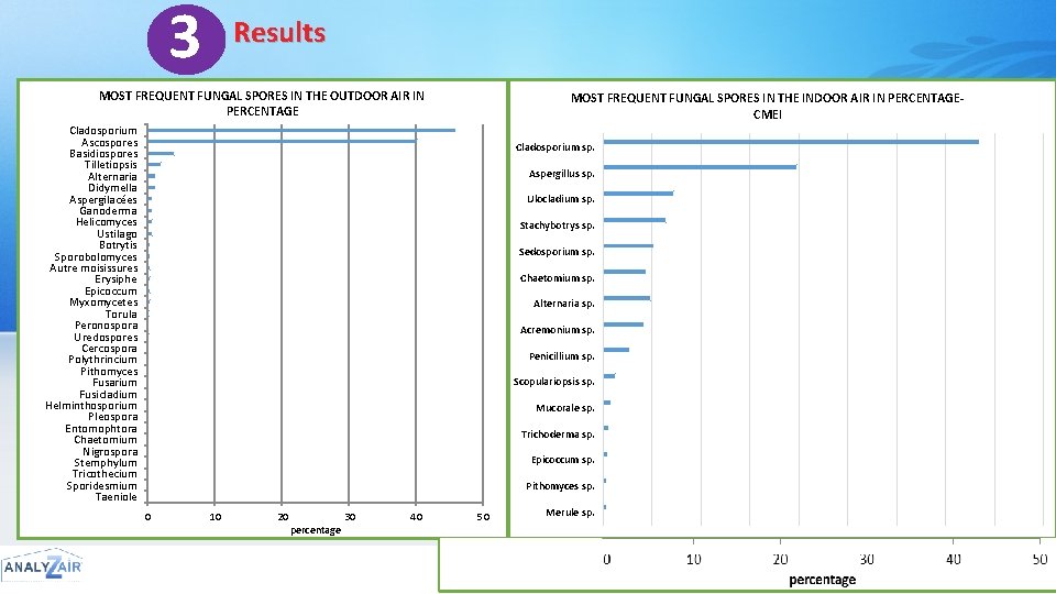 4 3 Results MOST FREQUENT FUNGAL SPORES IN THE OUTDOOR AIR IN PERCENTAGE MOST