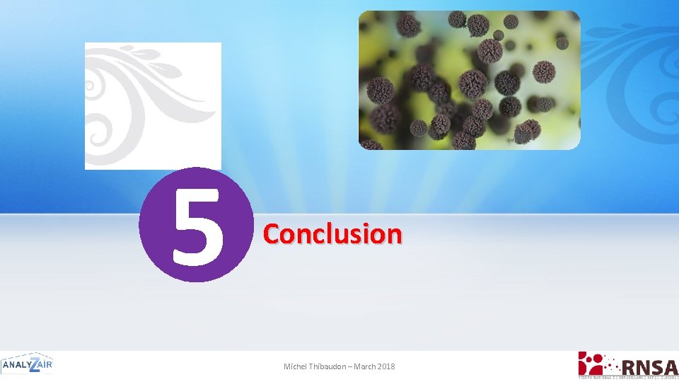 5 Conclusion Michel Thibaudon – March 2018 