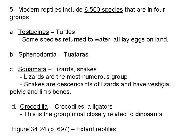 5. Modern reptiles include 6, 500 species that are in four groups: a. Testudines