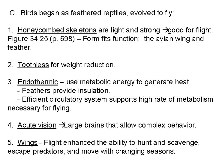  C. Birds began as feathered reptiles, evolved to fly: 1. Honeycombed skeletons are