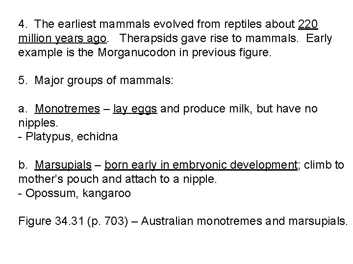 4. The earliest mammals evolved from reptiles about 220 million years ago. Therapsids gave