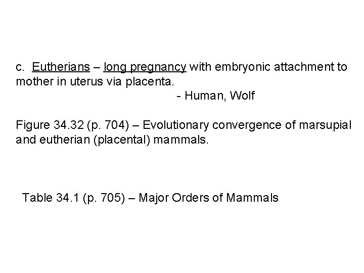  c. Eutherians – long pregnancy with embryonic attachment to mother in uterus via