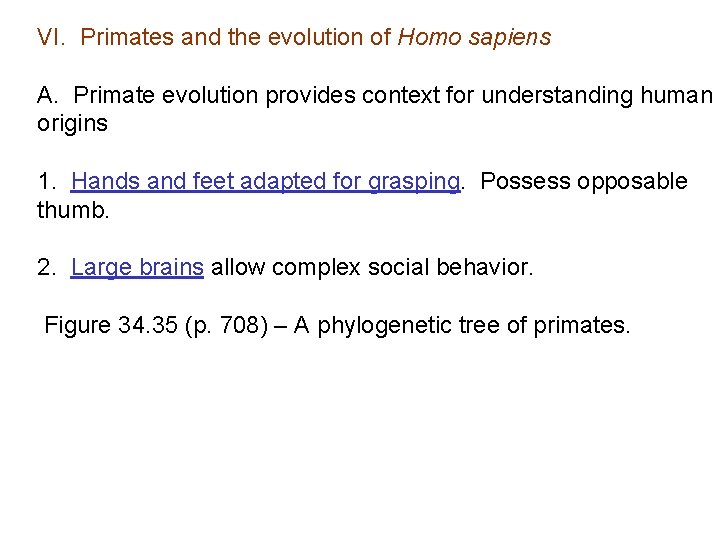 VI. Primates and the evolution of Homo sapiens A. Primate evolution provides context for