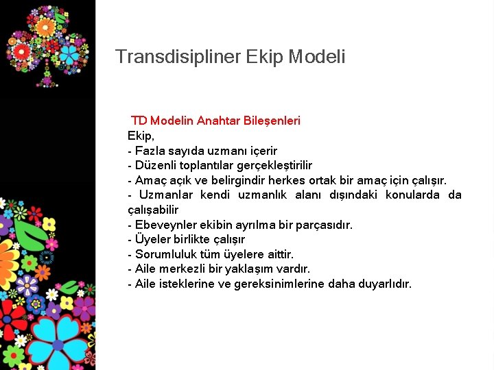 Transdisipliner Ekip Modeli TD Modelin Anahtar Bileşenleri Ekip, - Fazla sayıda uzmanı içerir -