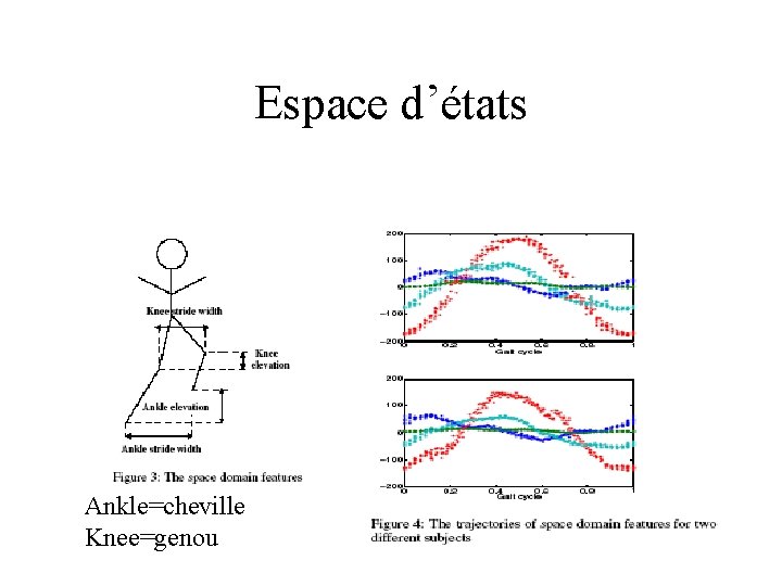 Espace d’états Ankle=cheville Knee=genou 