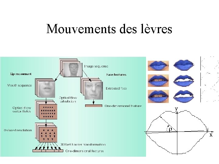 Mouvements des lèvres 