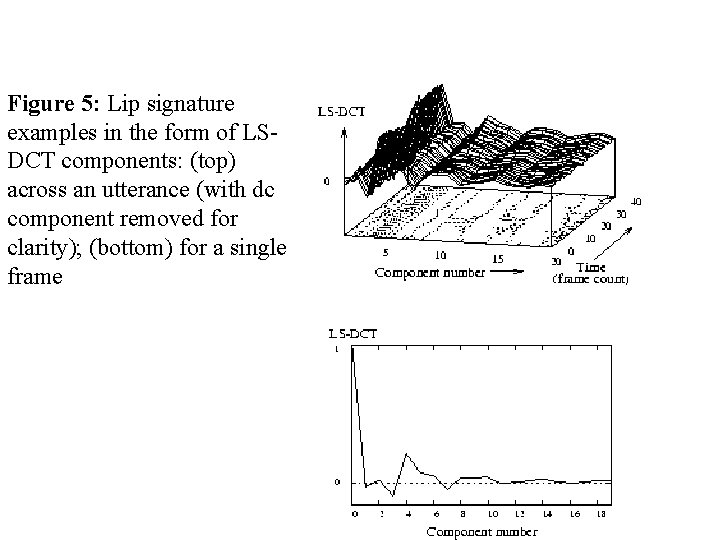 Figure 5: Lip signature examples in the form of LSDCT components: (top) across an