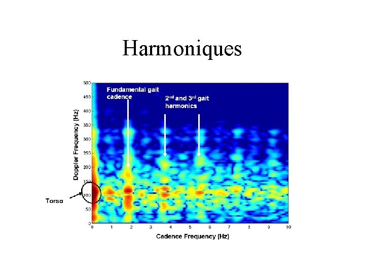 Harmoniques 