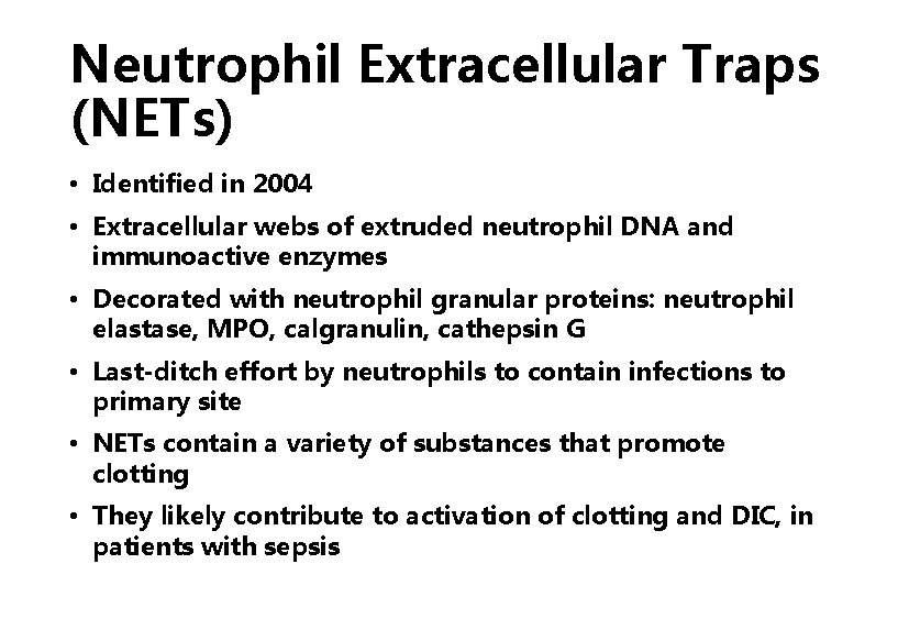 Neutrophil Extracellular Traps (NETs) • Identified in 2004 • Extracellular webs of extruded neutrophil