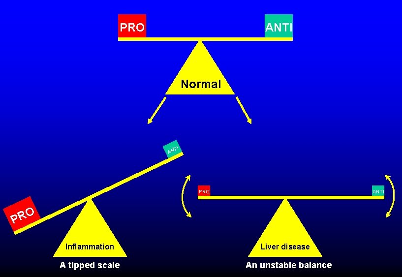 PRO ANTI Normal TI AN PRO ANTI O PR Inflammation A tipped scale Liver