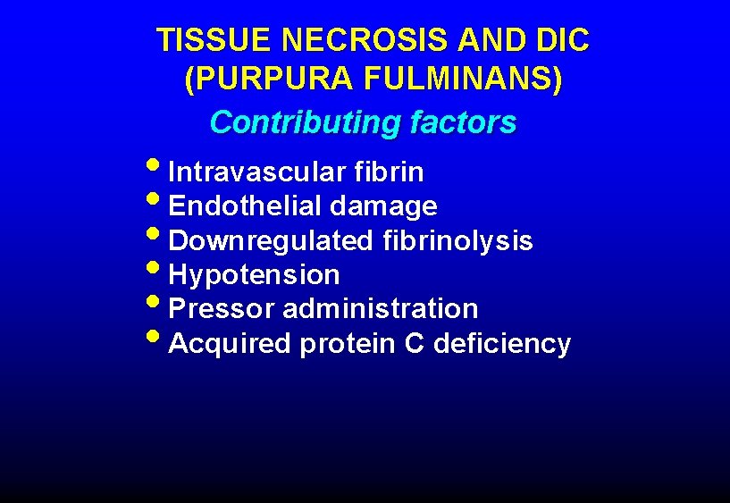 TISSUE NECROSIS AND DIC (PURPURA FULMINANS) Contributing factors • Intravascular fibrin • Endothelial damage