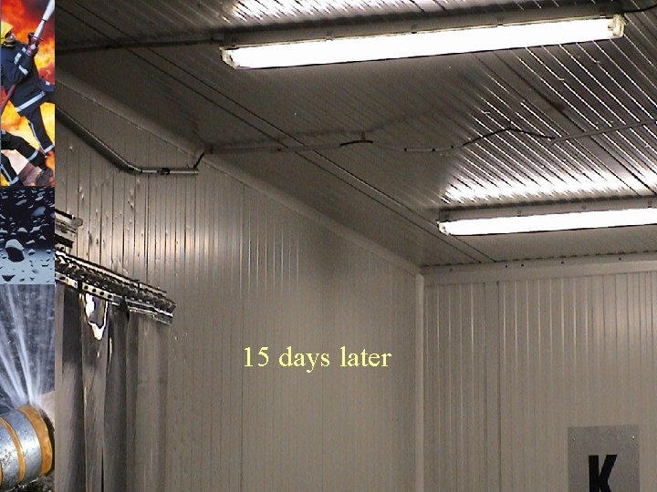 15 days later 45 