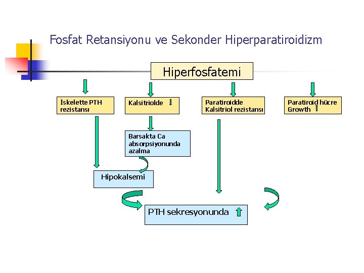 Fosfat Retansiyonu ve Sekonder Hiperparatiroidizm Hiperfosfatemi İskelette PTH rezistansı Kalsitriolde Paratiroidde Kalsitriol rezistansı Barsakta