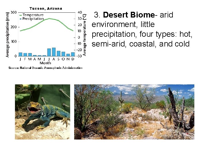  3. Desert Biome- arid environment, little precipitation, four types: hot, semi-arid, coastal, and