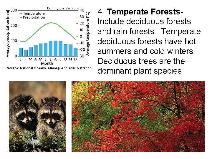 4. Temperate Forests- Include deciduous forests and rain forests. Temperate deciduous forests have hot