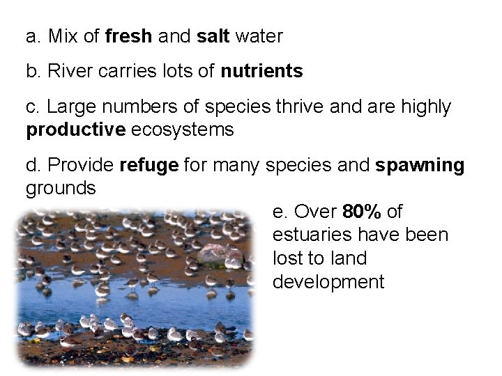 a. Mix of fresh and salt water b. River carries lots of nutrients c.