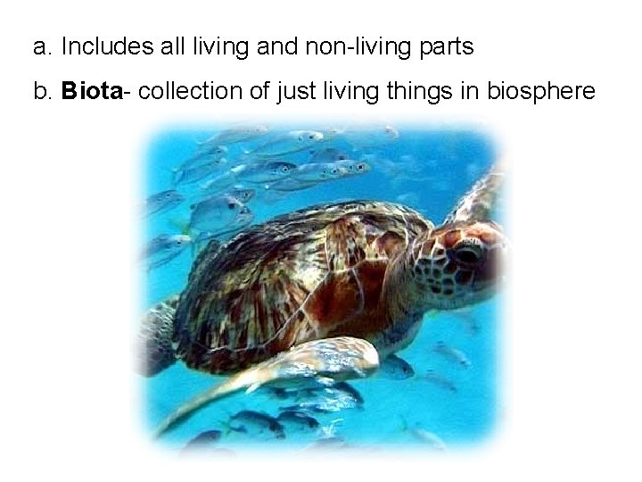 a. Includes all living and non-living parts b. Biota- collection of just living things