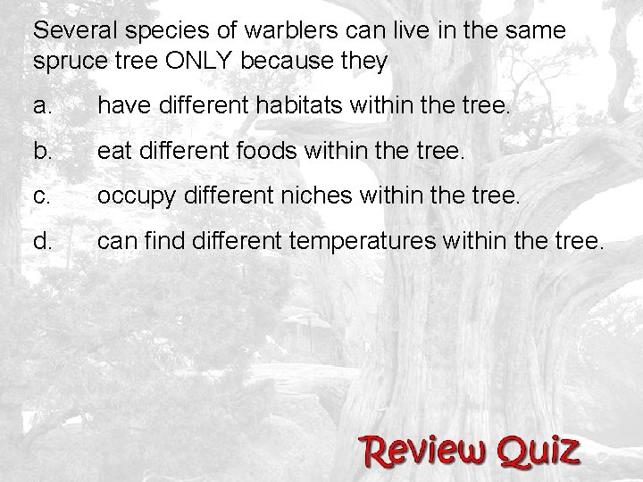 Several species of warblers can live in the same spruce tree ONLY because they