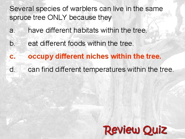 Several species of warblers can live in the same spruce tree ONLY because they