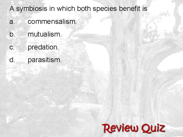 A symbiosis in which both species benefit is a. commensalism. b. mutualism. c. predation.