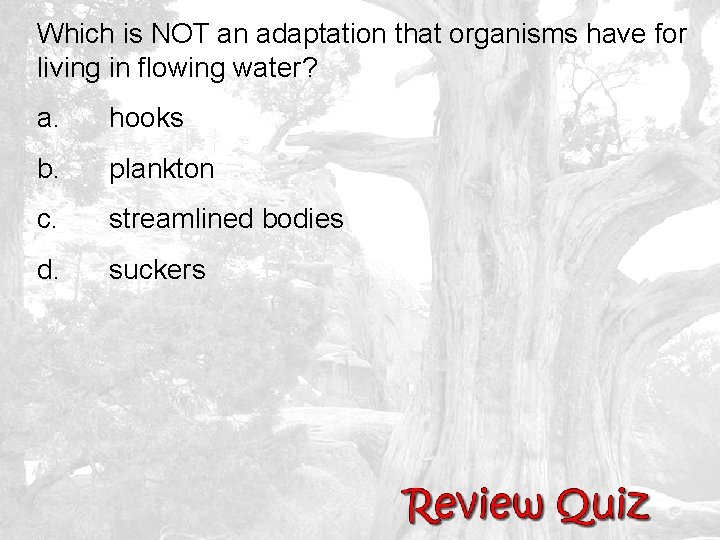 Which is NOT an adaptation that organisms have for living in flowing water? a.