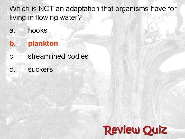 Which is NOT an adaptation that organisms have for living in flowing water? a.