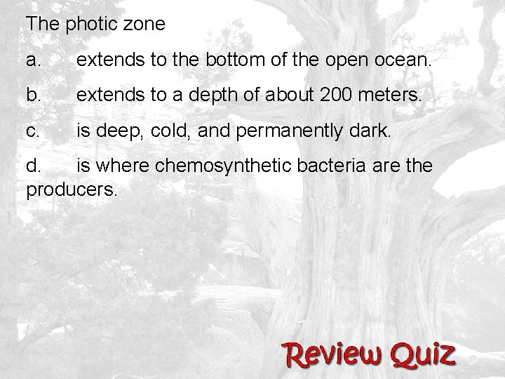 The photic zone a. extends to the bottom of the open ocean. b. extends