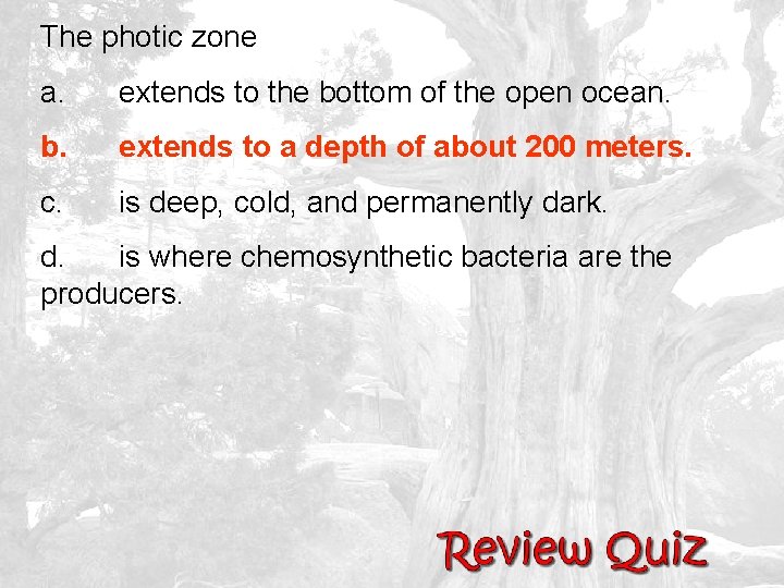 The photic zone a. extends to the bottom of the open ocean. b. extends