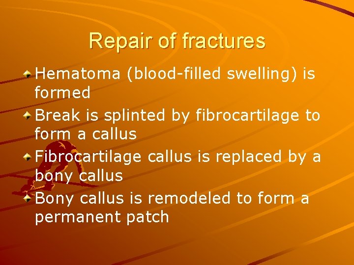 Repair of fractures Hematoma (blood-filled swelling) is formed Break is splinted by fibrocartilage to