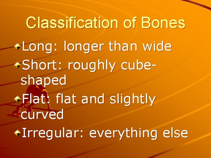 Classification of Bones Long: longer than wide Short: roughly cubeshaped Flat: flat and slightly