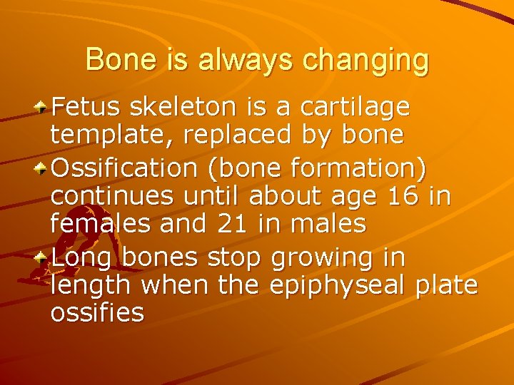 Bone is always changing Fetus skeleton is a cartilage template, replaced by bone Ossification