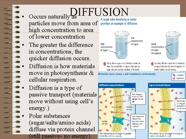 DIFFUSION • Occurs naturally as particles move from area of high concentration to area