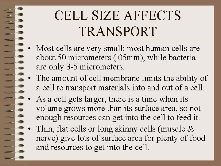 CELL SIZE AFFECTS TRANSPORT • Most cells are very small; most human cells are