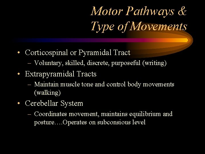 Motor Pathways & Type of Movements • Corticospinal or Pyramidal Tract – Voluntary, skilled,
