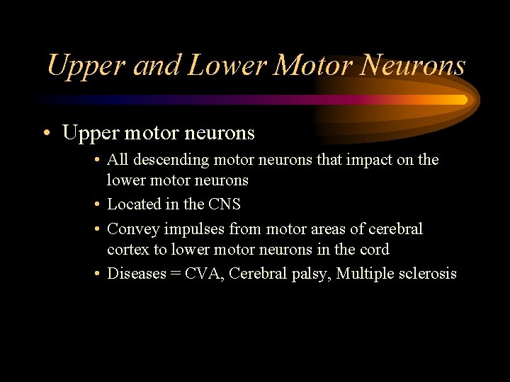 Upper and Lower Motor Neurons • Upper motor neurons • All descending motor neurons