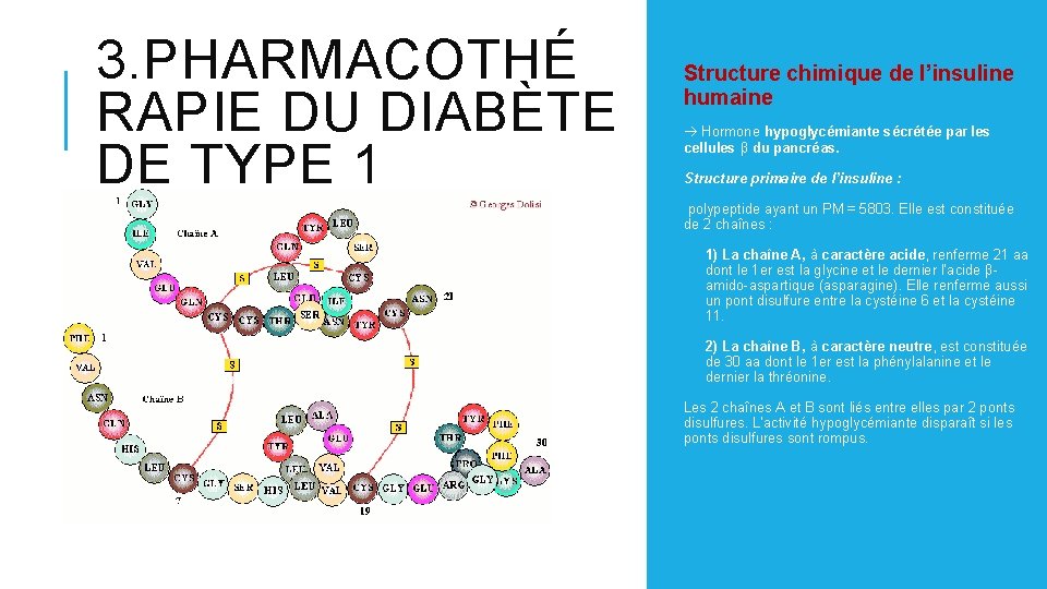 3. PHARMACOTHÉ RAPIE DU DIABÈTE DE TYPE 1 Structure chimique de l’insuline humaine Hormone 3. PHARMACOTHÉ RAPIE DU DIABÈTE DE TYPE 1 Structure chimique de l’insuline humaine Hormone