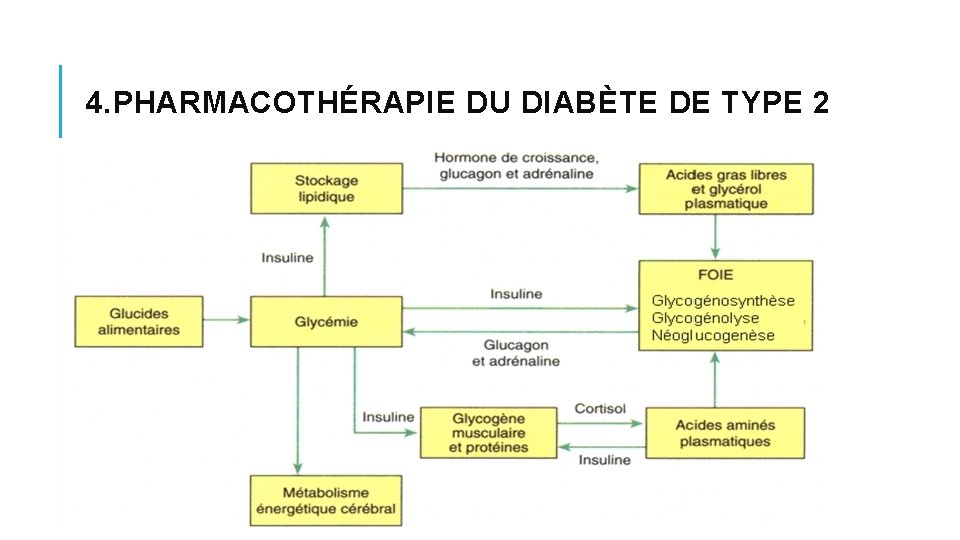 4. PHARMACOTHÉRAPIE DU DIABÈTE DE TYPE 2 4. PHARMACOTHÉRAPIE DU DIABÈTE DE TYPE 2