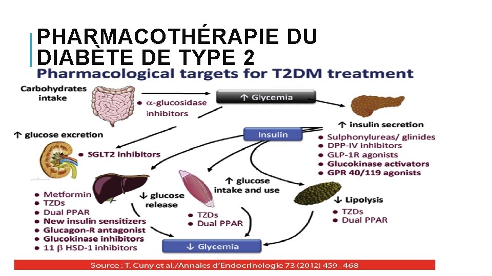 PHARMACOTHÉRAPIE DU DIABÈTE DE TYPE 2 PHARMACOTHÉRAPIE DU DIABÈTE DE TYPE 2