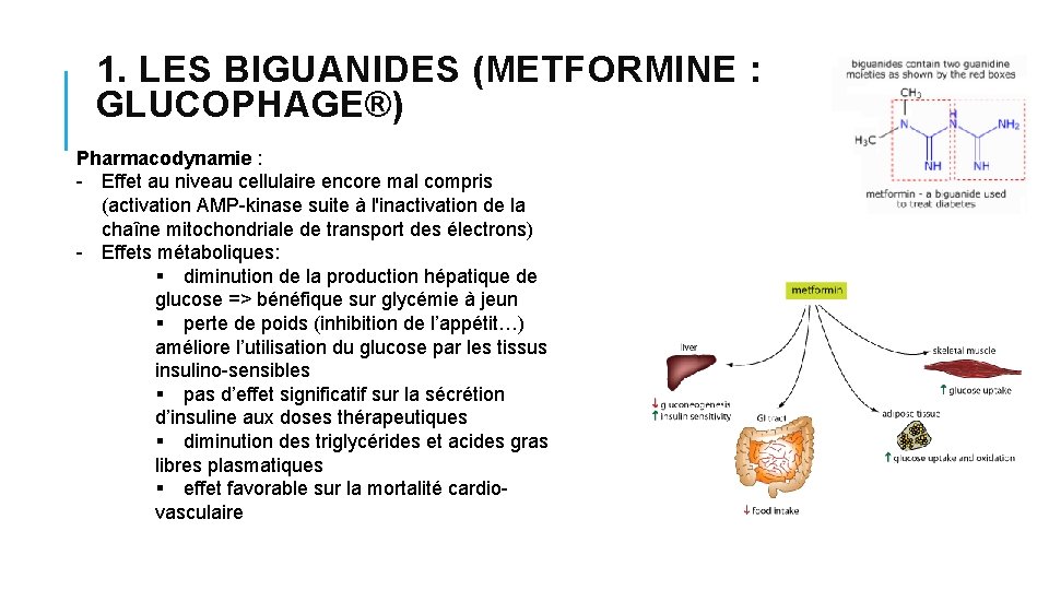 1. LES BIGUANIDES (METFORMINE : GLUCOPHAGE®) Pharmacodynamie : - Effet au niveau cellulaire encore 1. LES BIGUANIDES (METFORMINE : GLUCOPHAGE®) Pharmacodynamie : - Effet au niveau cellulaire encore