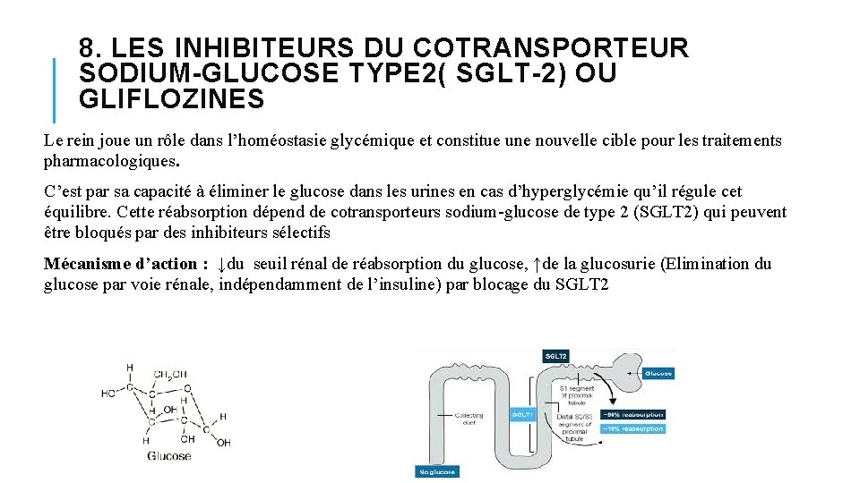 8. LES INHIBITEURS DU COTRANSPORTEUR SODIUM-GLUCOSE TYPE 2( SGLT-2) OU GLIFLOZINES Le rein joue 8. LES INHIBITEURS DU COTRANSPORTEUR SODIUM-GLUCOSE TYPE 2( SGLT-2) OU GLIFLOZINES Le rein joue