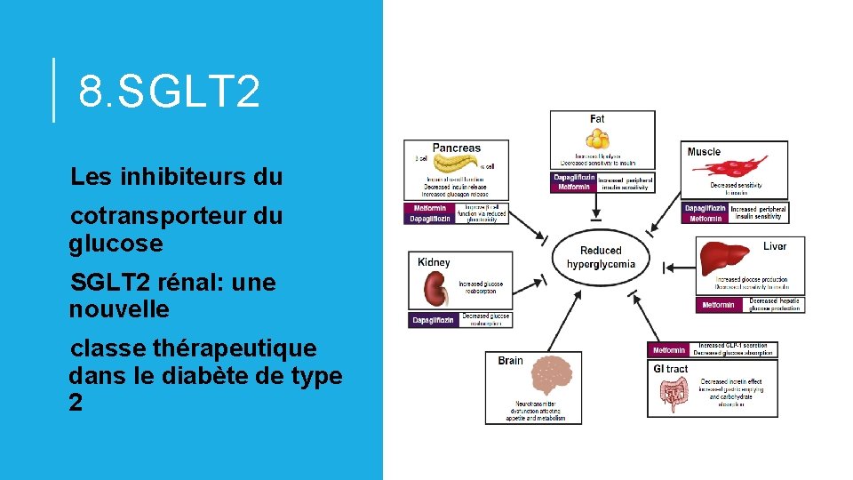 8. SGLT 2 Les inhibiteurs du cotransporteur du glucose SGLT 2 rénal: une nouvelle 8. SGLT 2 Les inhibiteurs du cotransporteur du glucose SGLT 2 rénal: une nouvelle
