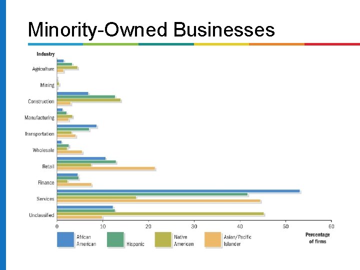 Minority-Owned Businesses 