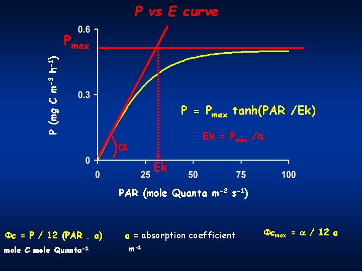 P vs E curve P (mg C m-3 h-1) Pmax P = Pmax tanh(PAR