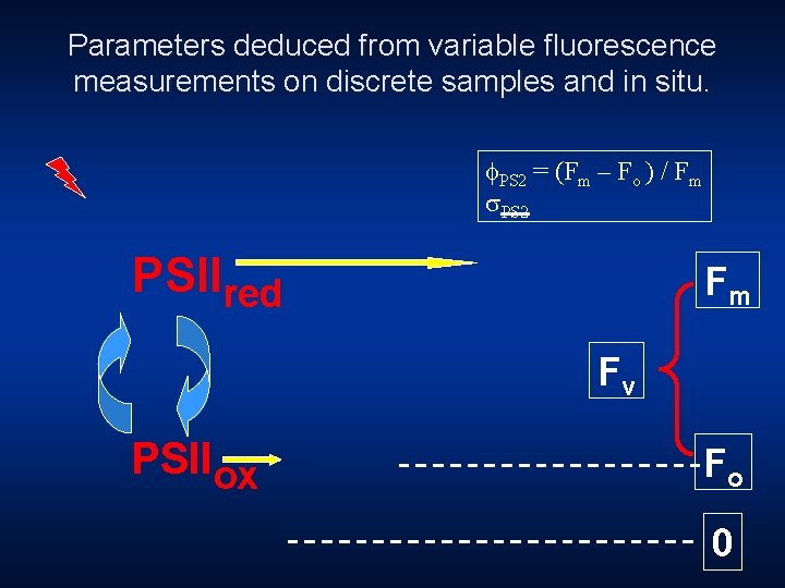 Parameters deduced from variable fluorescence measurements on discrete samples and in situ. f. PS
